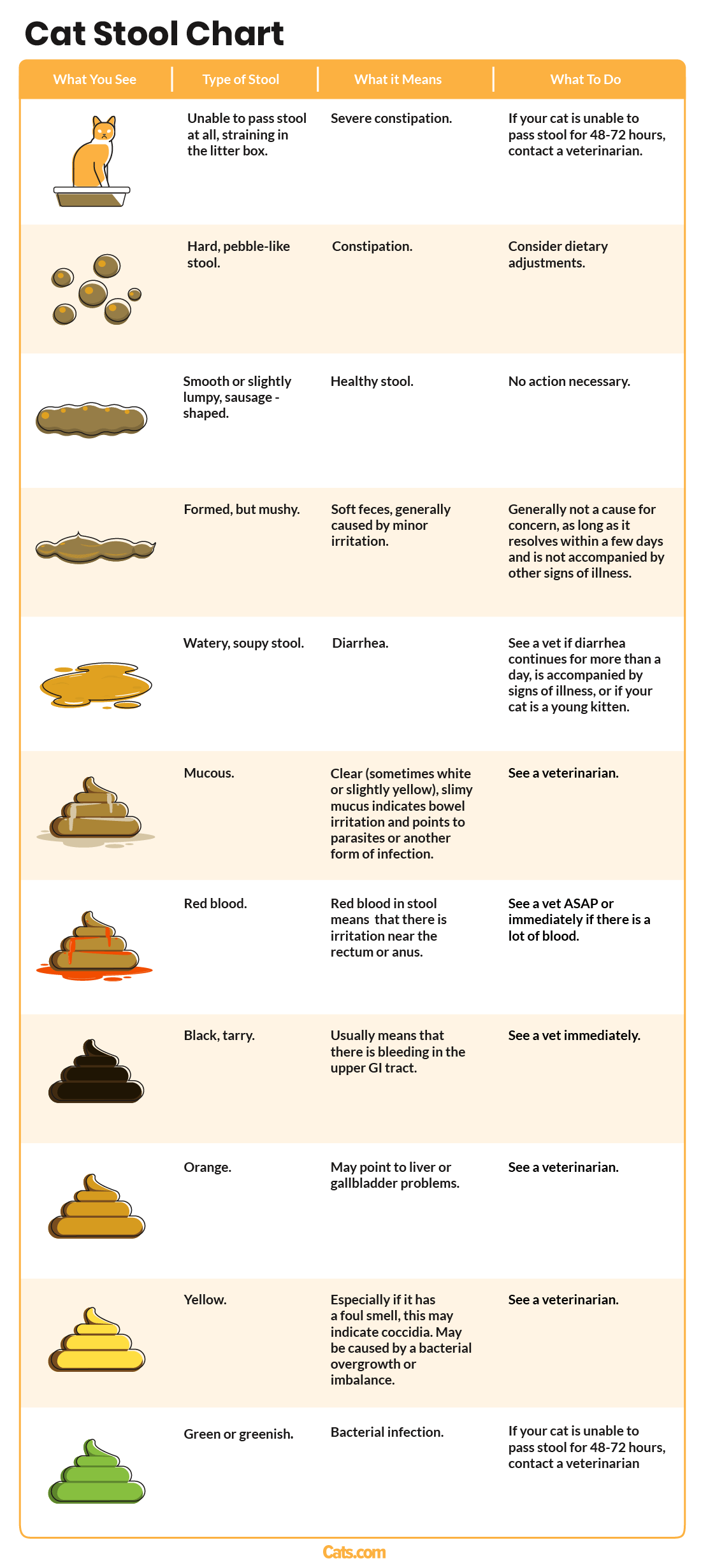 таблиця стільця кота