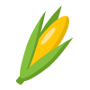 Corn