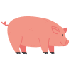 Pork