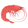 Shrimp