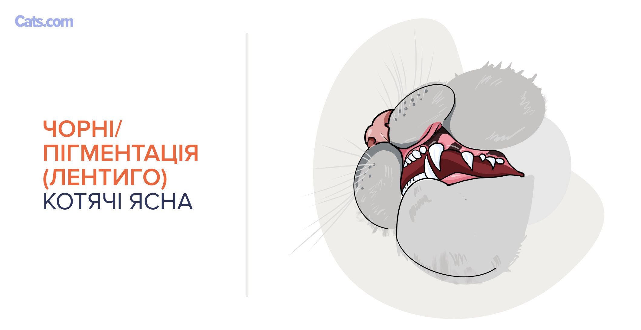 Чорні ясна/пігментація (лентиго)