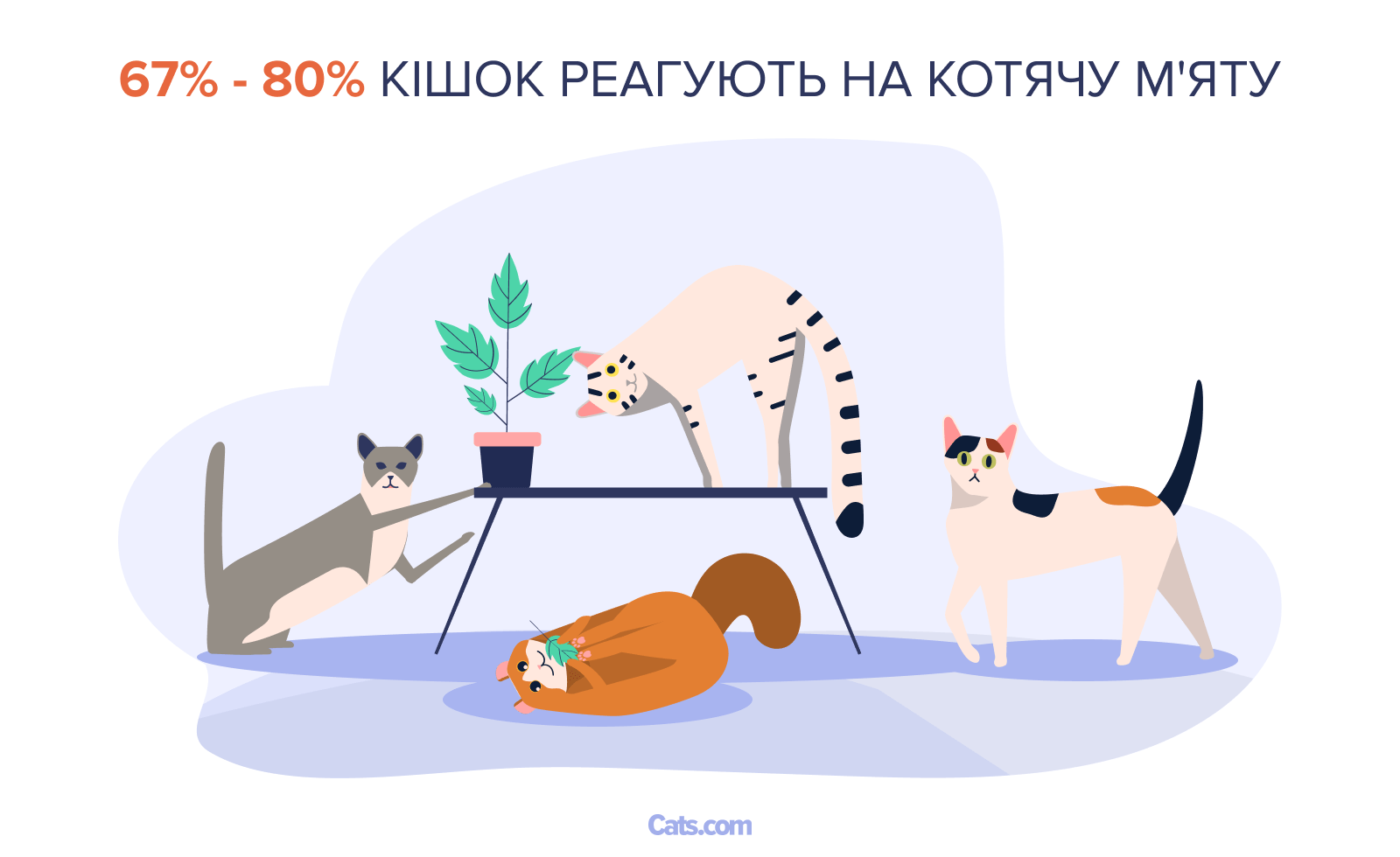 Котяча м'ята