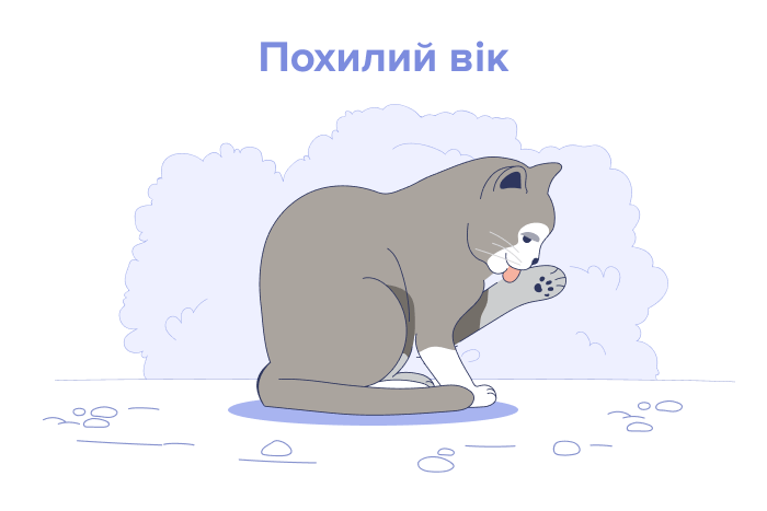 Літній вік (11+ років)