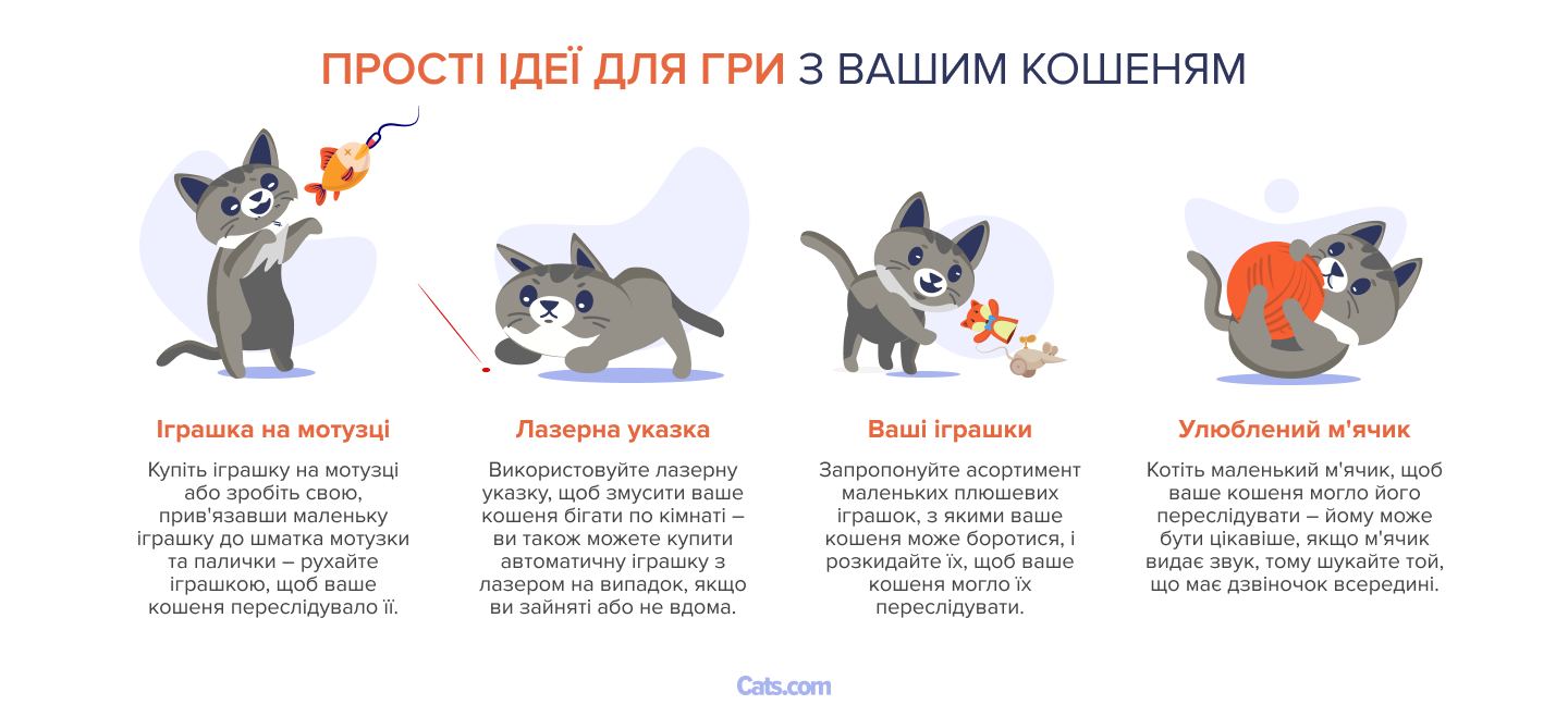 Зображення з простими ідеями для гри з кошеням.