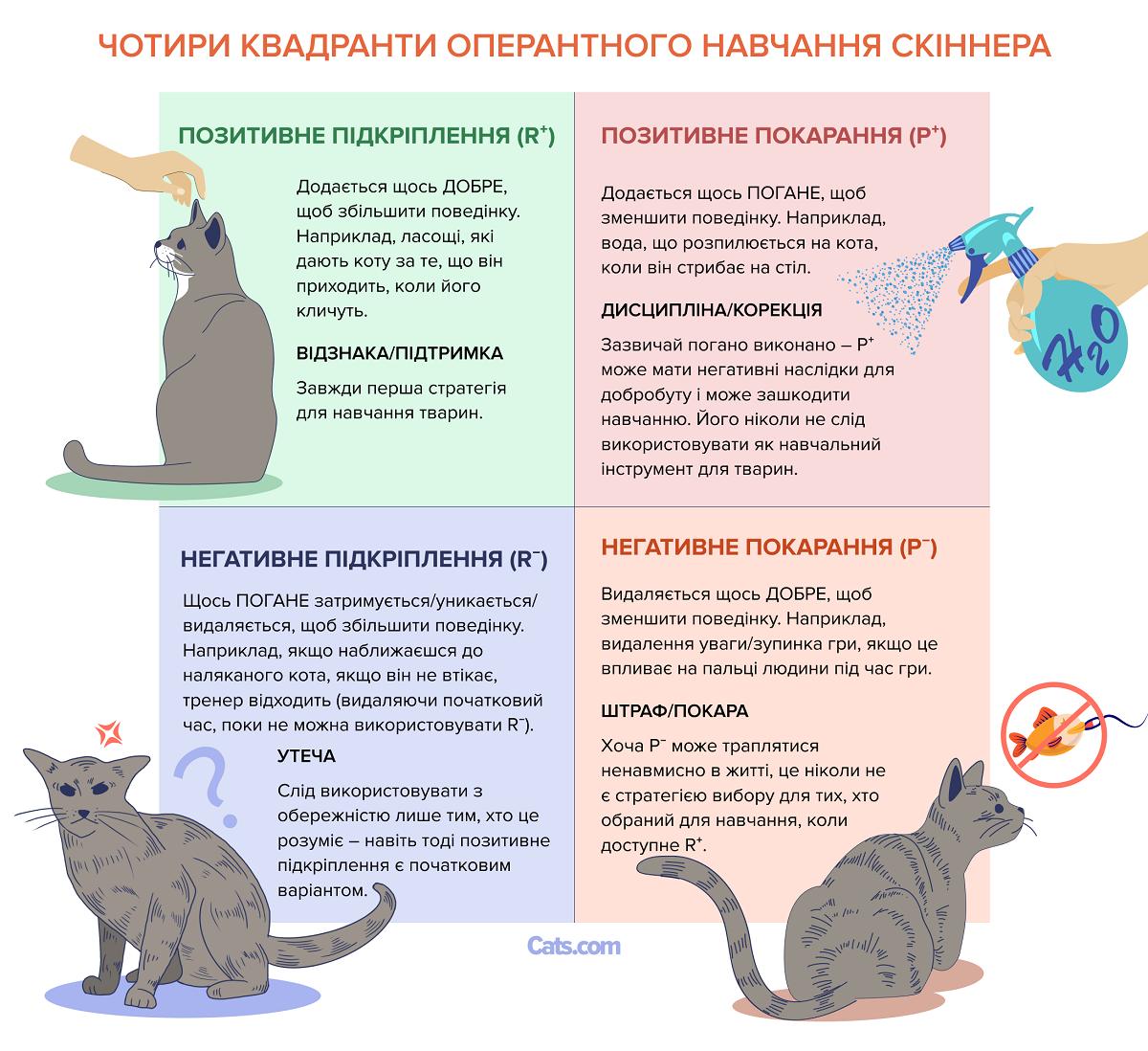 Чотири квадранти оперантного обумовлення Скіннера, приклад