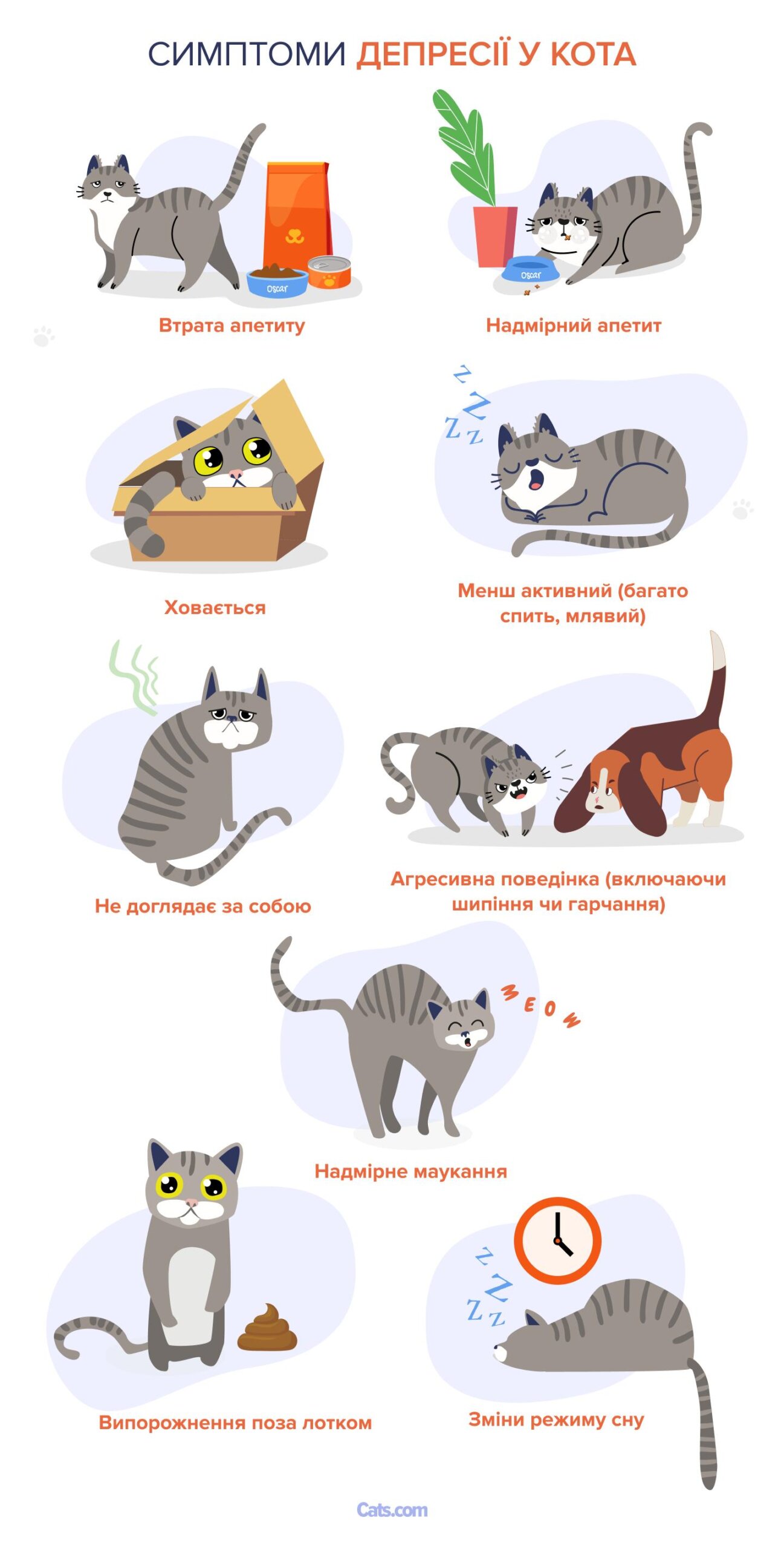 Ознаки депресії у котів