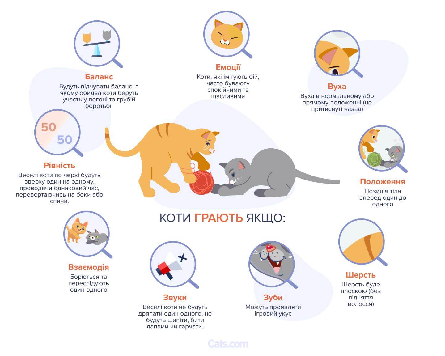 Ознаки, що ваші коти граються