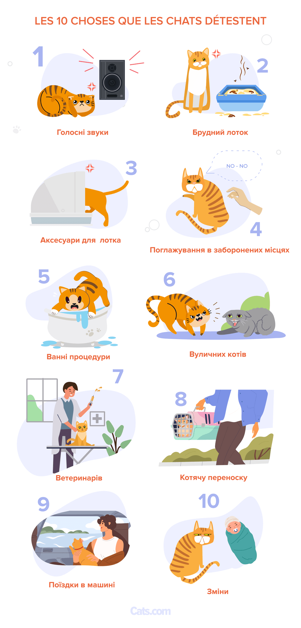 10 речей, які коти найбільше ненавидять. Інфо-графіка