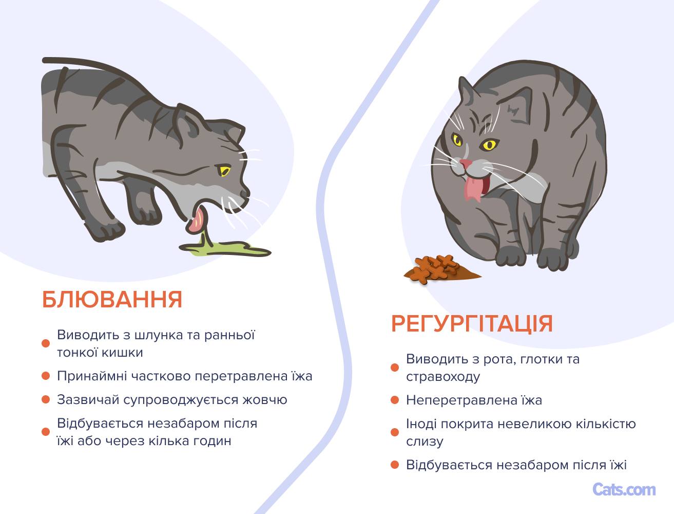 Блювота чи регургітація: що я бачу?