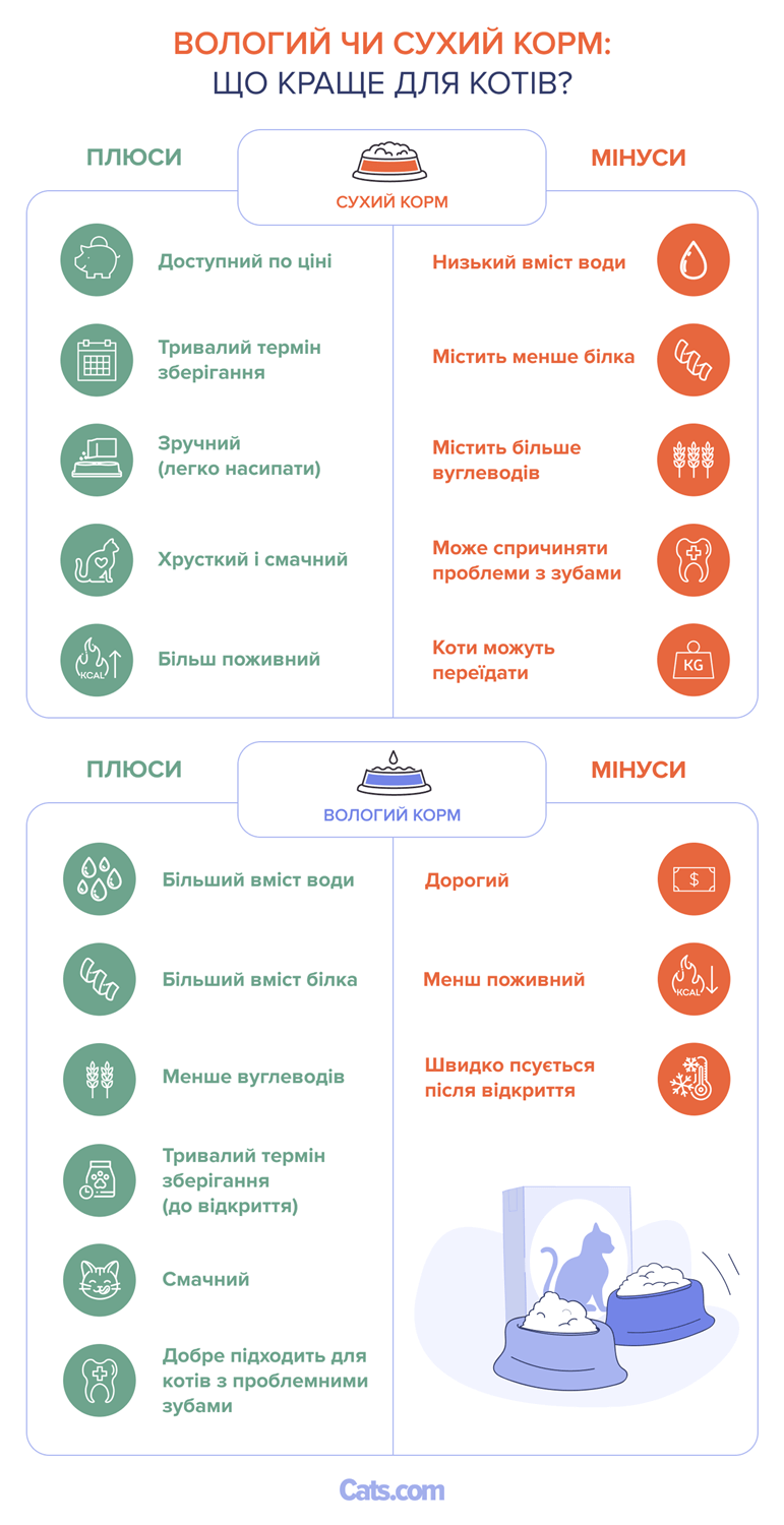 Wet vs Dry Cat Food_ What’s Better For Cats_ua