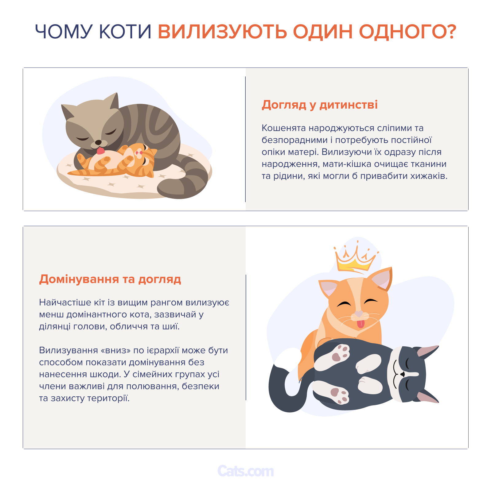 Чому кішки вилизують один одного