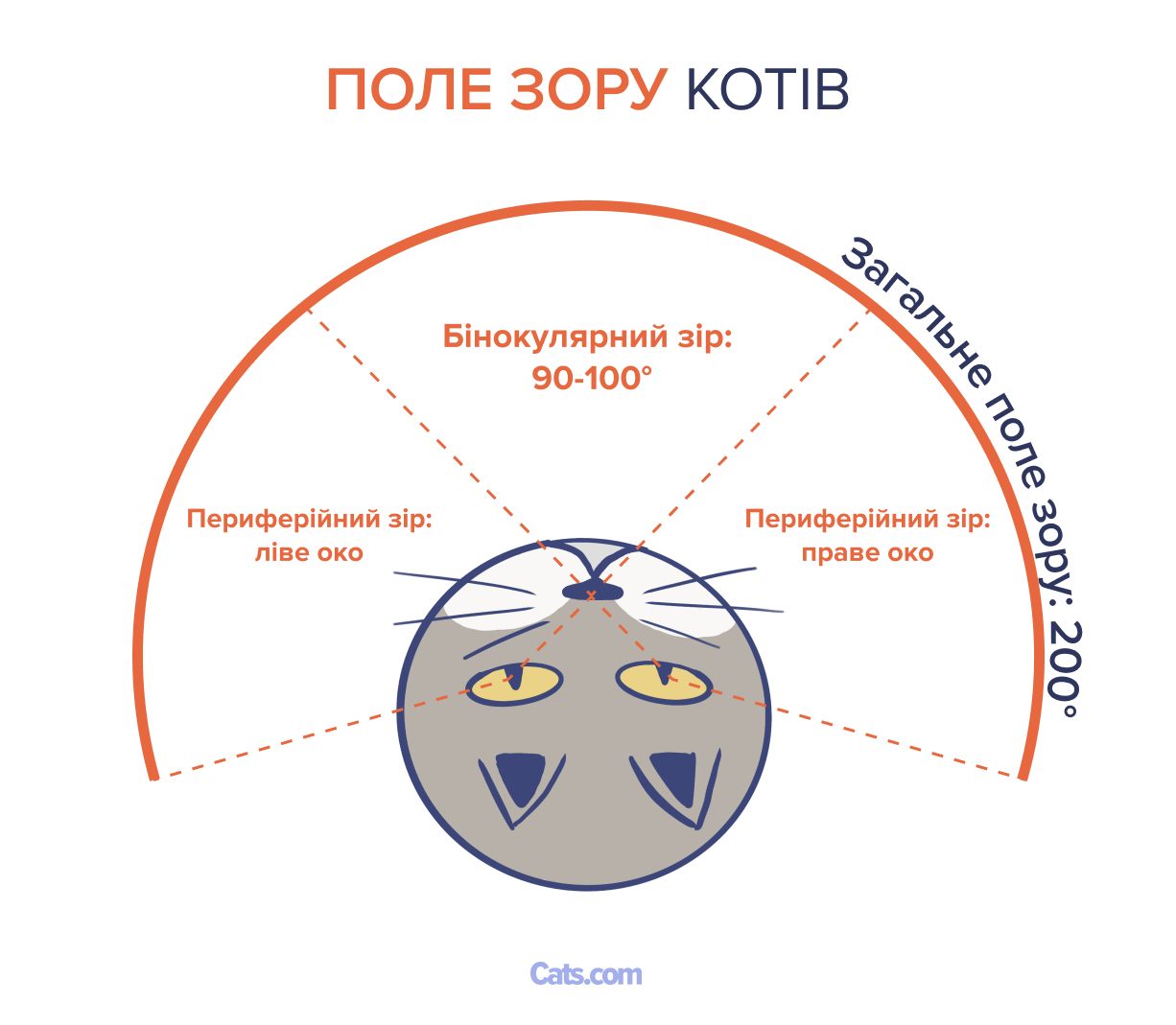 Поле зору