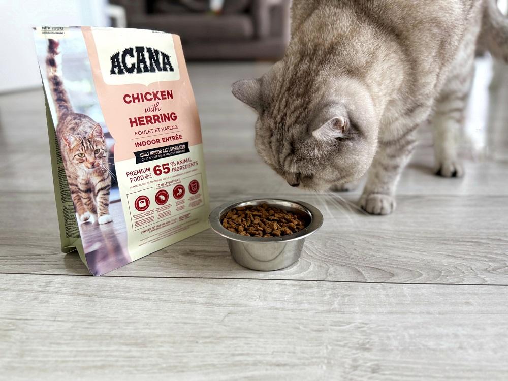 Acana Indoor Entree dry cat food Chicken and Herring