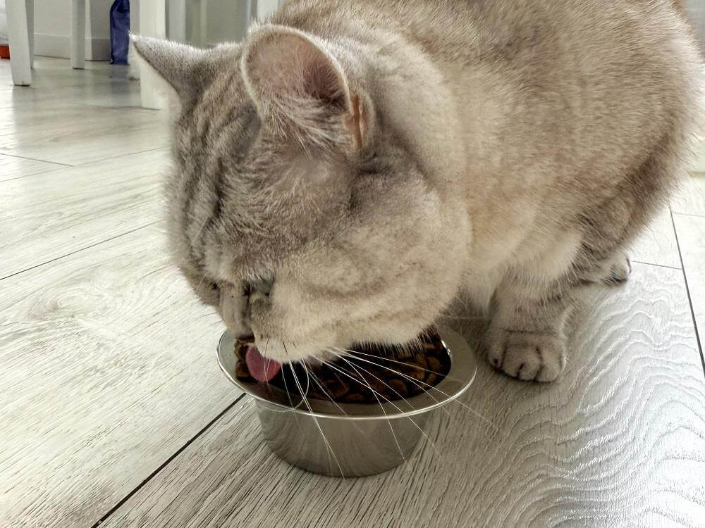 Brit Care Cat Grain Free Sterilized Sensitive Dry Food