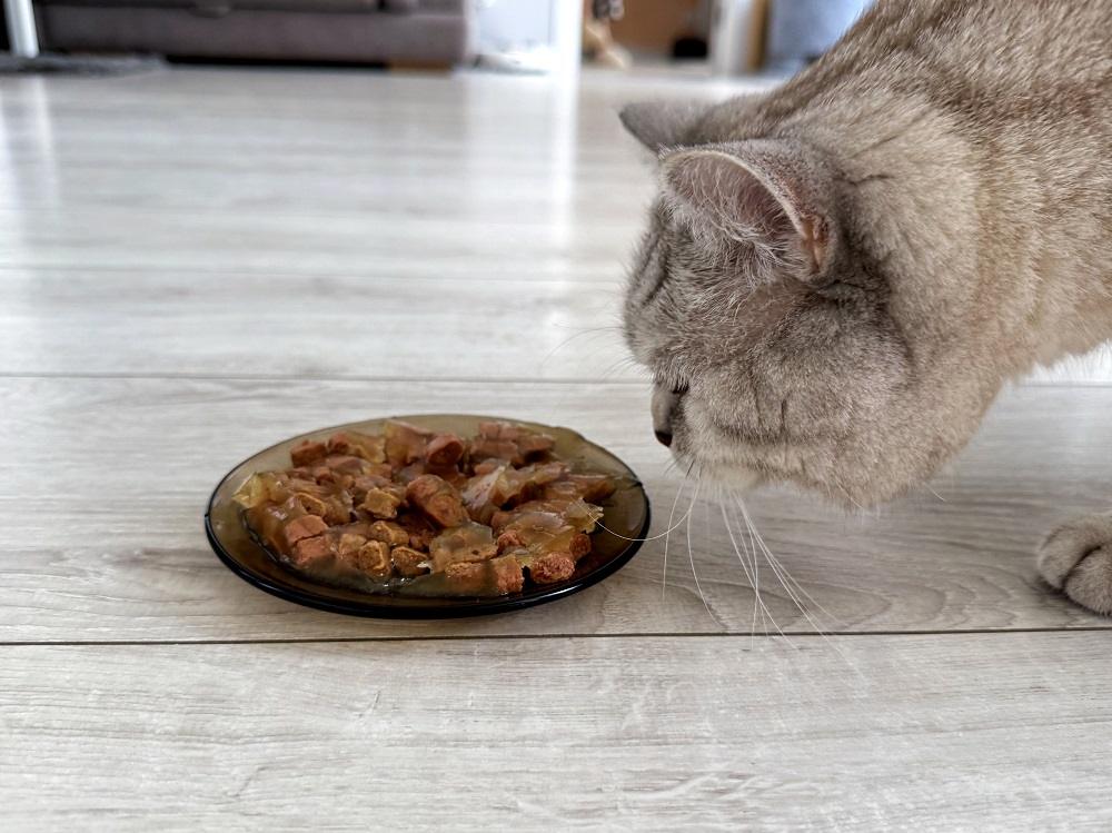 Club 4 Paws Premium Sterilized Wet Food Chicken