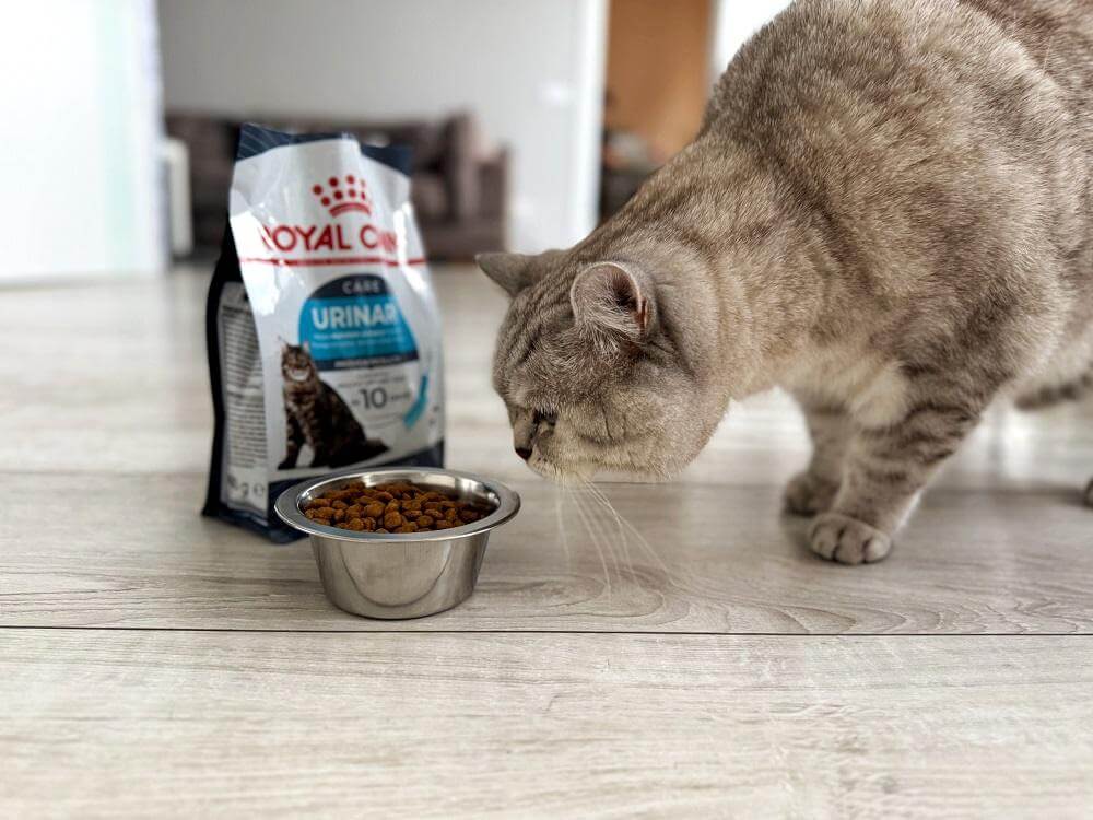 Royal Canin Urinary Care Dry Food