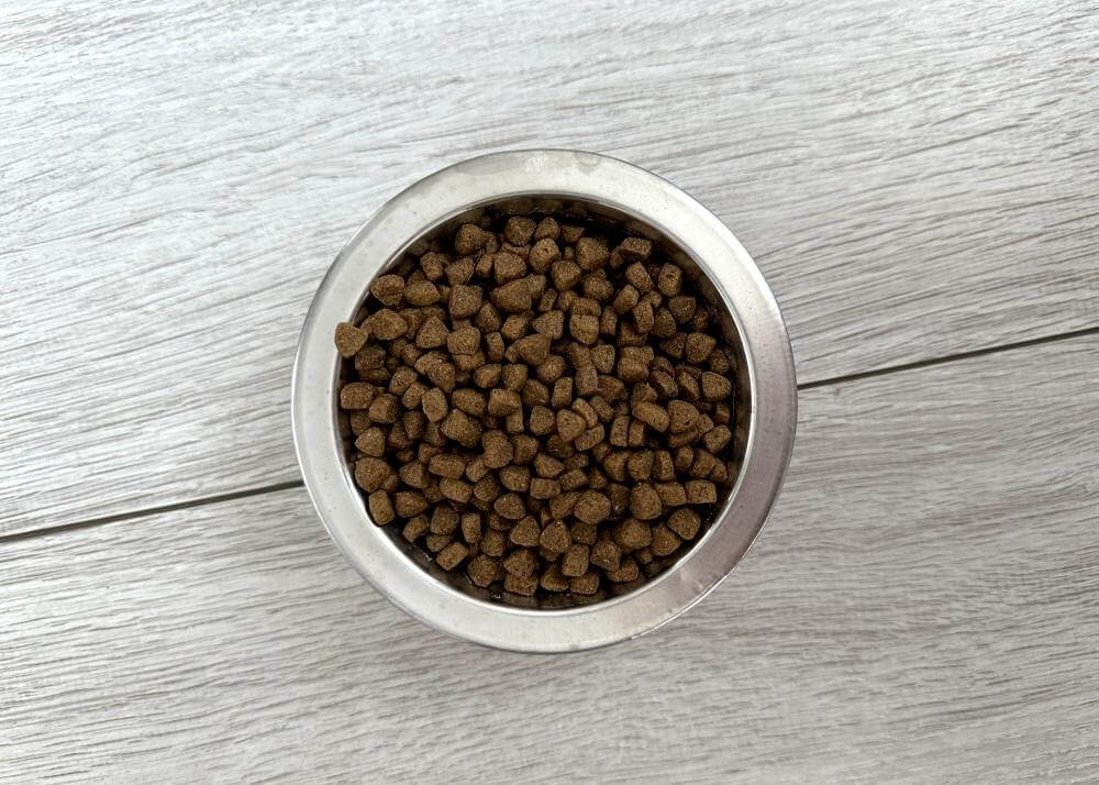 Savory Adult Cat Steril Fresh Lamb & Chicken Dry Food